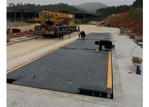 勝龍牛業(yè)清遠(yuǎn)智慧產(chǎn)業(yè)園地磅項目